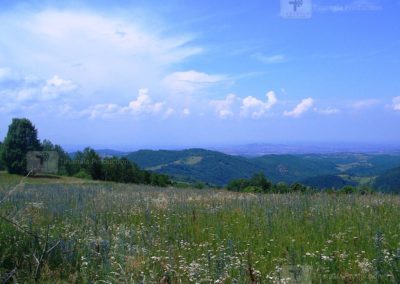 1200px-Image-of-Sumadija
